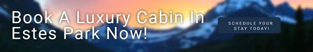 mountainside-cta-1024x171