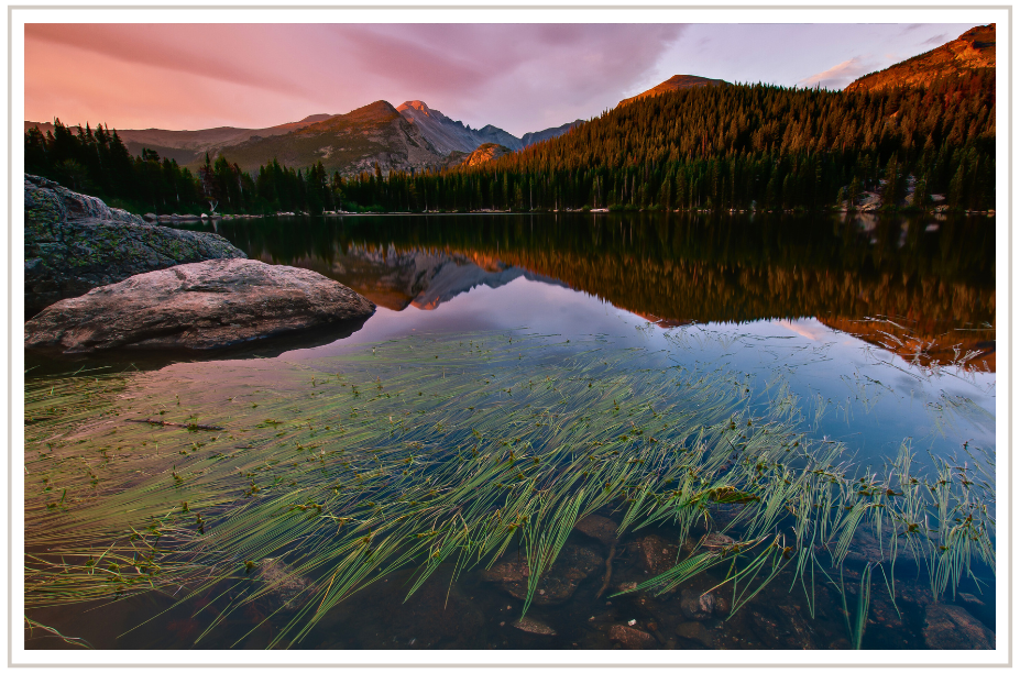 Celebrate You_ Special Occasion 15% Off - 3