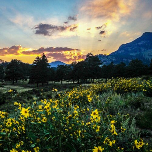 Sunrise of Estes Park