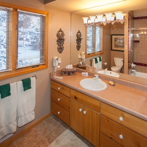 bathroom in cabin at Rams Horn Village Resort